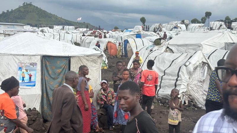 fe36e757-2fa7-465c-adb1-5b7fe694e294